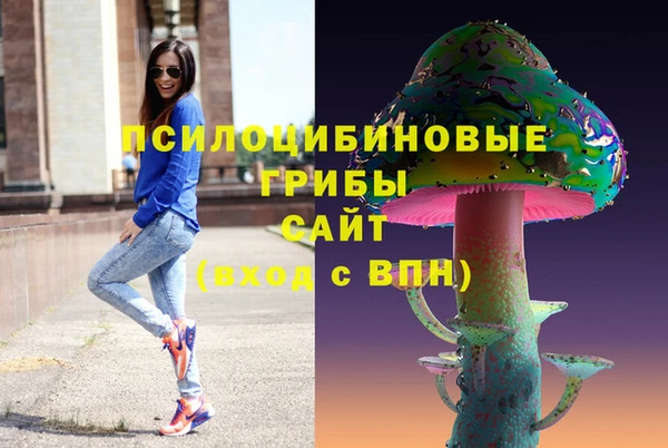 ГАЛЛЮЦИНОГЕННЫЕ ГРИБЫ Бабаево