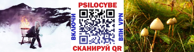 хочу наркоту  Зеленокумск  Галлюциногенные грибы Cubensis 